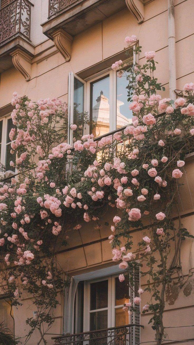 Vintage Petal Panorama: Timeless Charm